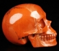 Preview: Red Jasper Skull